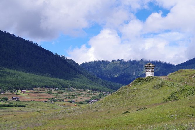 Bhutan Vacation (5 Nights-6 Days) - Transportation and Guides