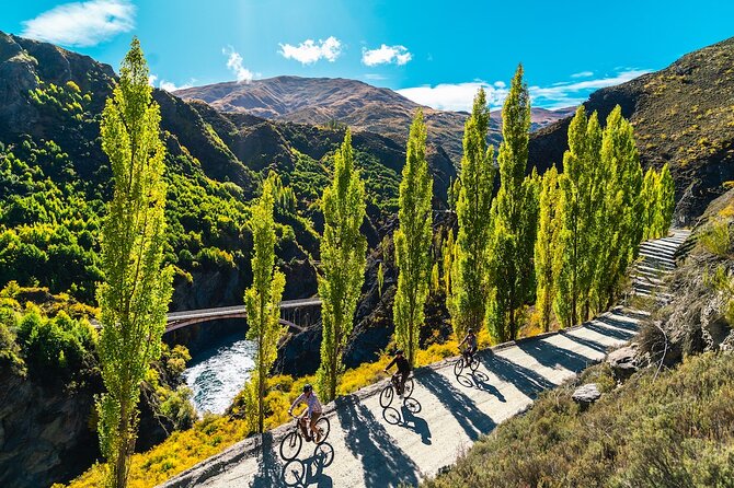 Bike The Wineries Full Day Ride Queenstown - Requirements and Restrictions