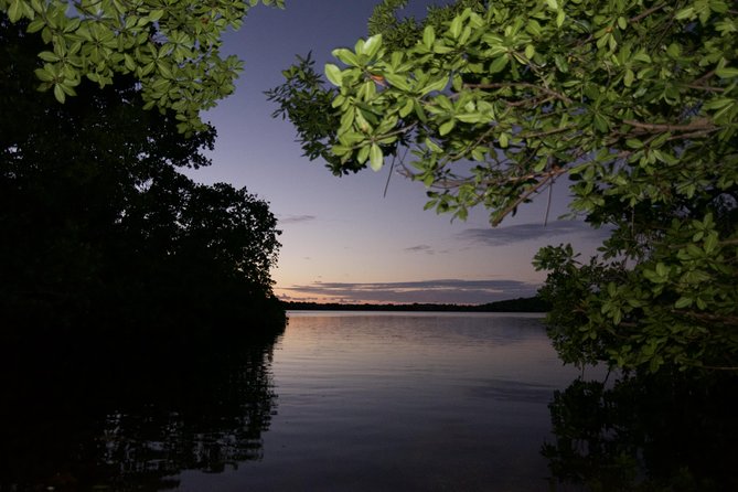 Bioluminescent Bay Kayak Adventure Tour From San Juan - Inclusions and Amenities