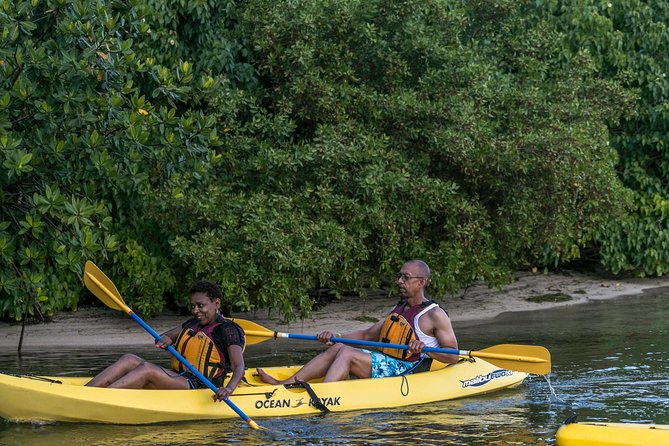 Bioluminescent Night Kayaking With Transport From San Juan - Tour Experience