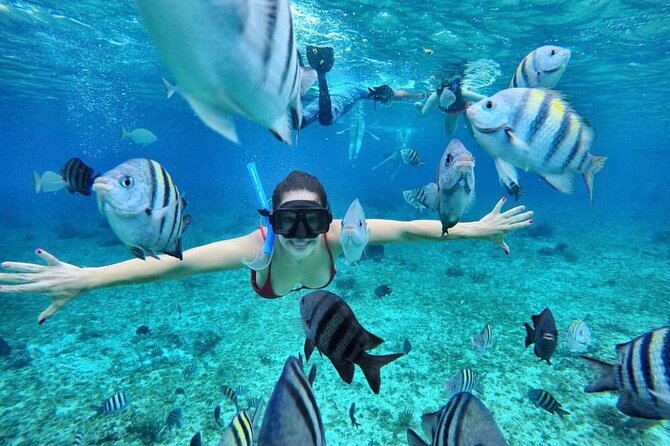 Blue Lagoon Snorkeling With Optional Half Day Sightseeing Tours - Pickup Locations