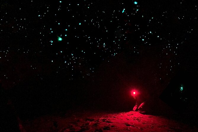 Blue Mountains Hiking Glow Worms Cave Wildlife Spotlighting Night Adventure - Wildlife and Glowworms