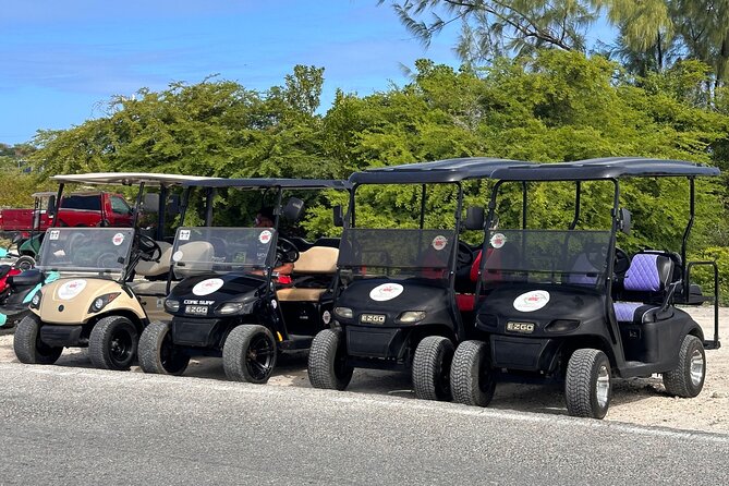 BMC Rentals -Golf Carts in Grand Turks - Accessibility and Participation Details