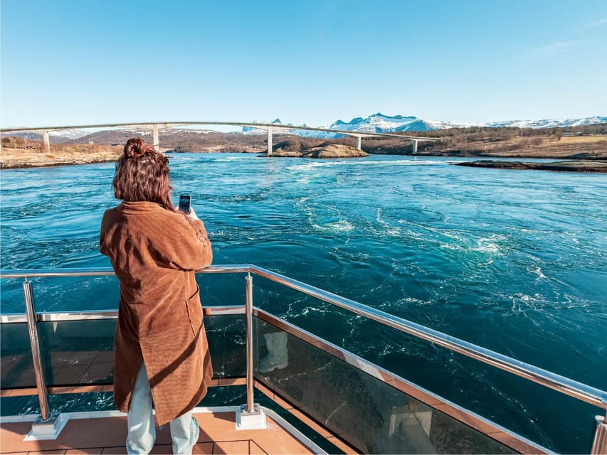 Bodø: Arctic Light Cruise - Additional Information