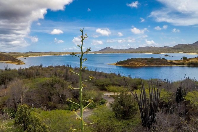 Bonaire Essentials Island Tour - Recommended Stops on the Tour