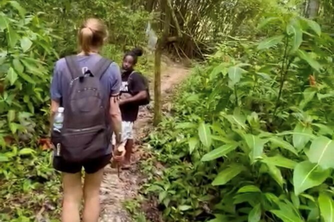 Bush Hiking to Explore Wild Plants & Fresh Fruits,Montego Bay - Essential Items to Bring