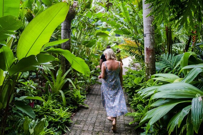 Cairns City Sights and Surrounds Tour - Local Guide Experience