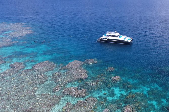 Calypso Outer Great Barrier Reef Cruise From Port Douglas - Participant Guidelines