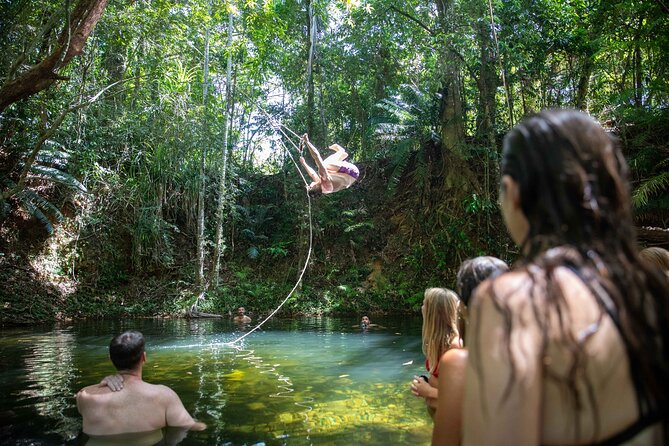 Cape Tribulation Day Tour From Cairns - Tour Experience Highlights