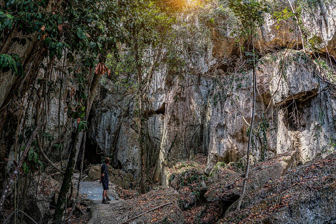 Capricorn Caves Cathedral Cave Tour - Visitor Experience