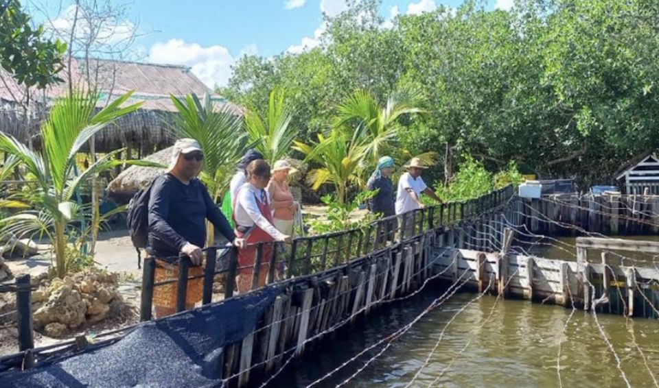 Cartagena: Canoe Tour Through Mangroves - Experience Highlights