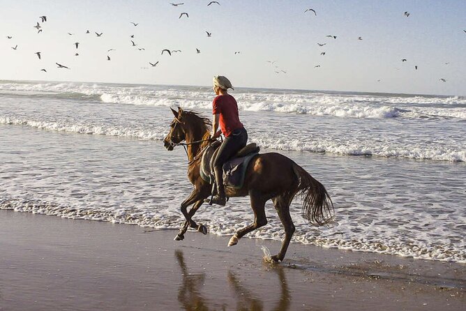 Cartagena: Horseback Riding at the Beach During Sunset - Safety and Riding Instructions