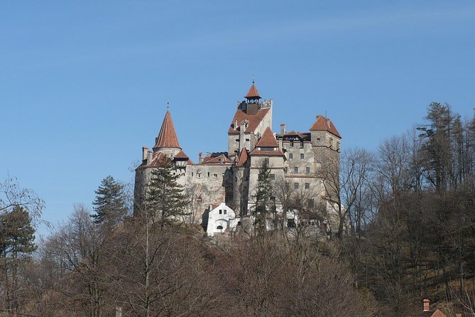 Castles Day Tour Peles - Bran - Rasnov From Brasov - What to Expect on the Tour