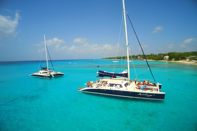 Catamaran and Snorkeling Cruise At Carlisle Bay - Health and Safety Guidelines