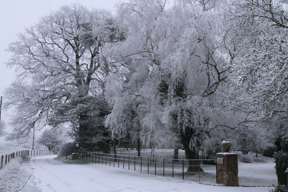 Christmas in Oxford, the Cotswolds and Stratford With Lunch - Exploring Oxford