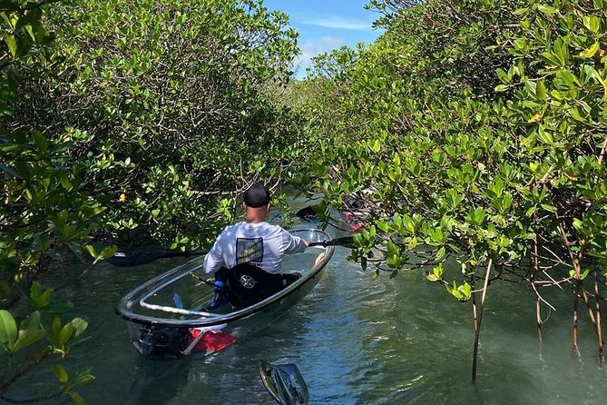 Clear Kayak Tours in Fort Pierce - Accessibility Information