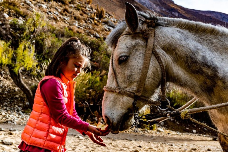 Cochiguaz: Horseback Riding, River and Mountain Range - Inclusions and Amenities