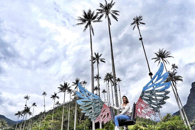 Cocora Valley, Salento and Coffee Farm Day Tour - Scenic Cocora Valley Hike