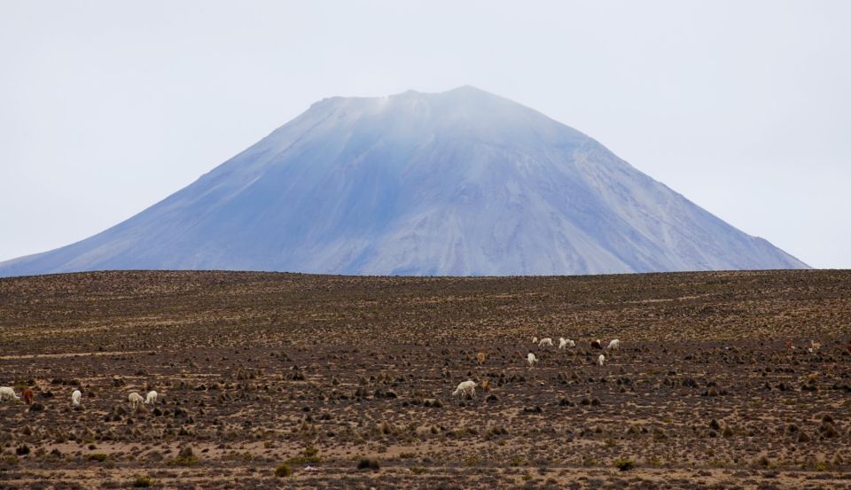 Colca Canyon and Puno: One-Way Bus Transport - Itinerary Details