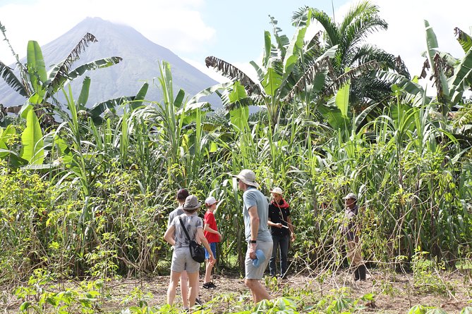 Costa Rica Descents Organic Farm - Tips for Visiting