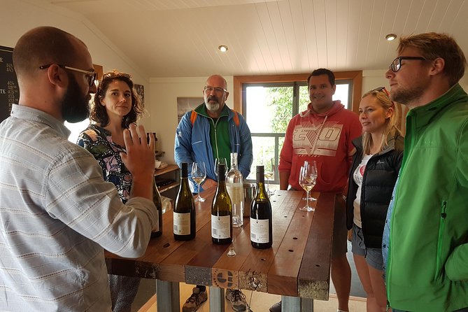 Cruise Excursion - Wines of Marlborough Tour - Logistics and Meeting Point