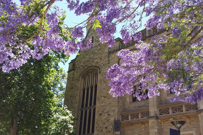 Cultural Caper Adelaide Walking Tour - Inclusions and Accessibility