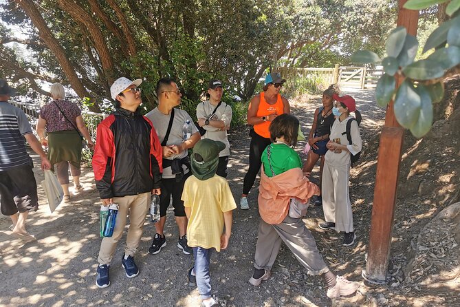 Cultural Walk of Mauao - Cultural Insights