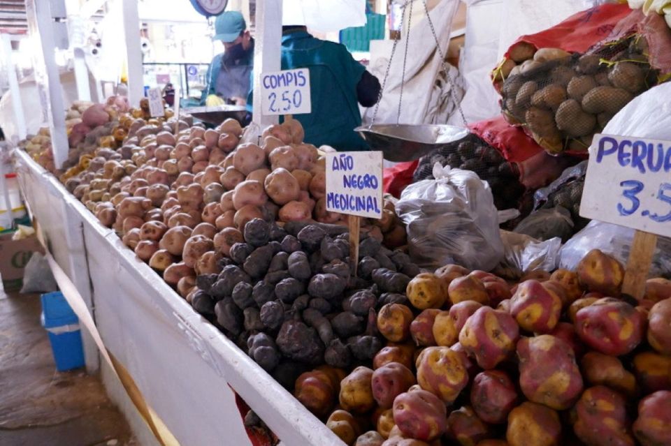 Cusco: Ceviche and Saltado Lomo Peruvian Kitchen Classes - Class Experience and Structure