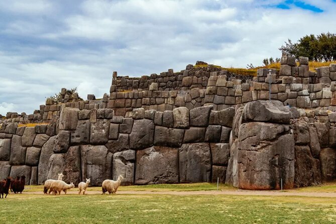 Cusco City Tour - Customer Feedback