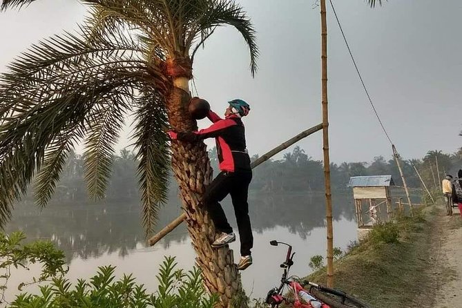 Cycle The Kolkata Wetlands And Amazing Views