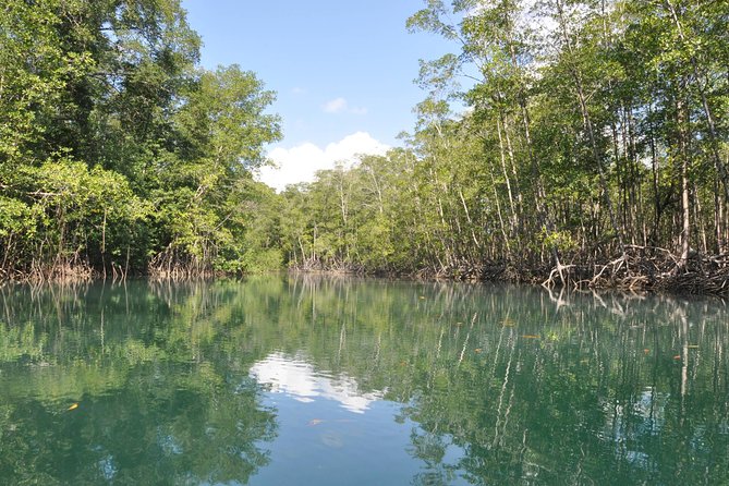 Damas Island Mangrove Boat Tour From Manuel Antonio - Wildlife and Natural Attractions