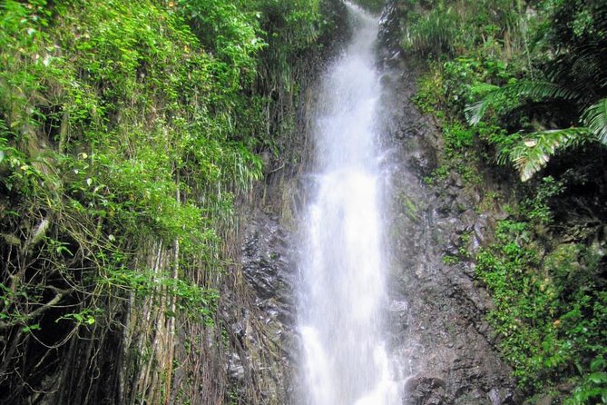 Dark View Falls Tour and Beach - Operating Hours and Availability