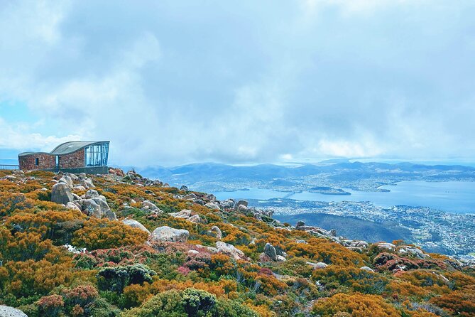 Day Tour in Mt. Field, Mt. Wellington, Bonorong Wildlife Sanctuary and Richmond - Scenic Views From Mount Wellington