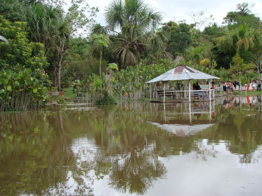 Day Trip on the Amazon River. - Wildlife Encounters