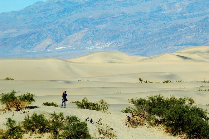 Death Valley Day Trip From Las Vegas - Customer Reviews and Experiences