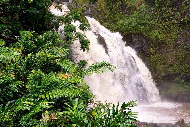 Deluxe Halfway to Hana: Private Tour From Kahului - Accessibility Features