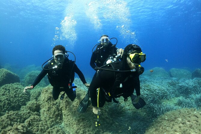 Discover Scuba Diving in Villasimius - Participation Requirements