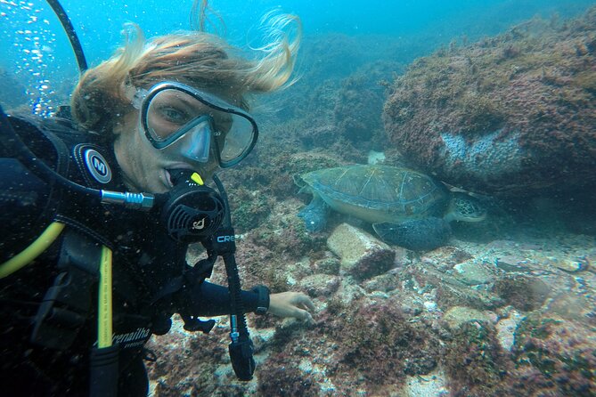 Diving With Turtles in Floripa - Meeting and Transportation Logistics