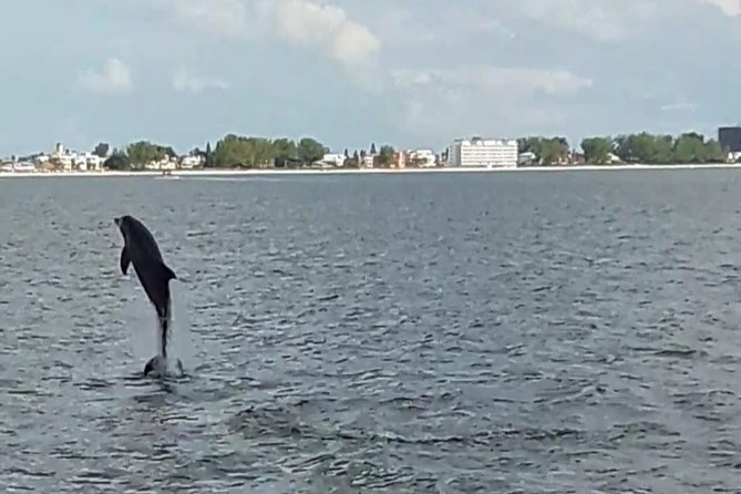 Dolphin Quest - Sightseeing/Eco Cruise, Johns Pass, Madeira Beach, FL - Inclusions and Exclusions