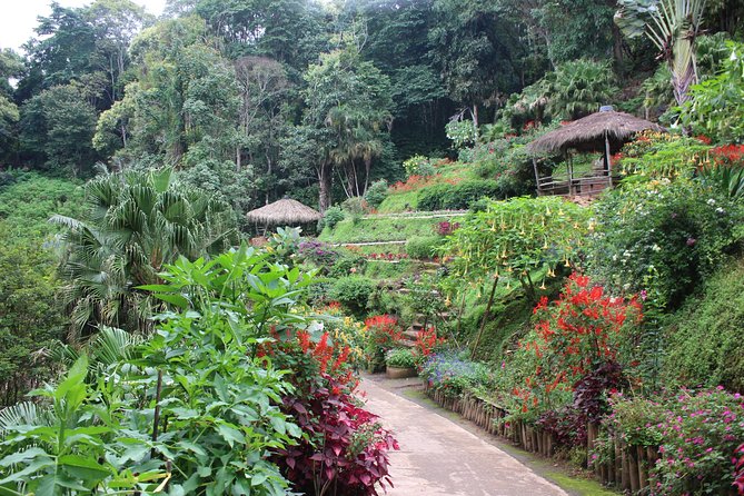 DONT Miss It ! Doi Suthep Temple+ Hmong Village (Or Bhubing Palace) - Discovering Bhubing Palace