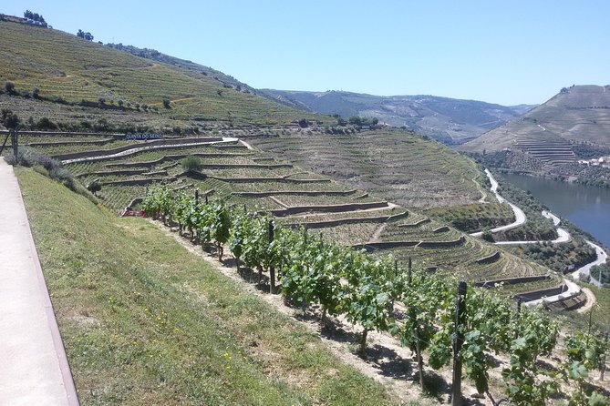 Douro Valley Private Premium Tour With Wine Tasting (1 to 4 People) - Meet Your Guides