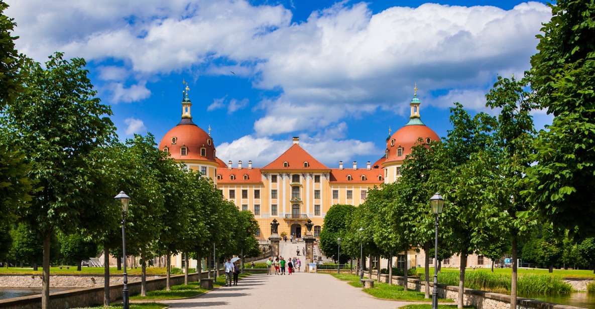 Dresden Regio Card for 1, 2, or 3 Days - Public Transport Benefits