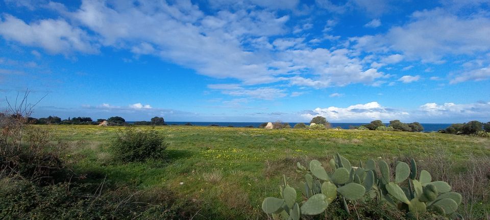 E-Bike Tour From Polignano a Mare to S.Vito Fishing Village - What to Bring