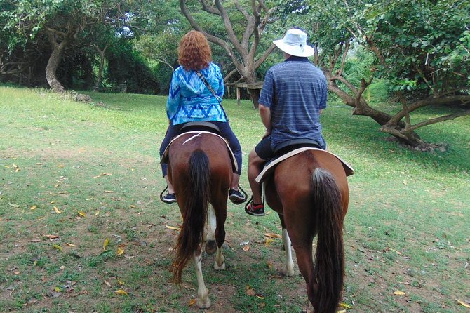 East Coast Horseback Riding & Waterfall Excursion - Important Notes