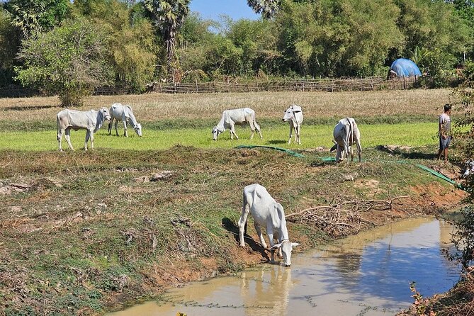 East Corner of Siem Reap - Roluos Group & Countryside - Health and Safety Guidelines