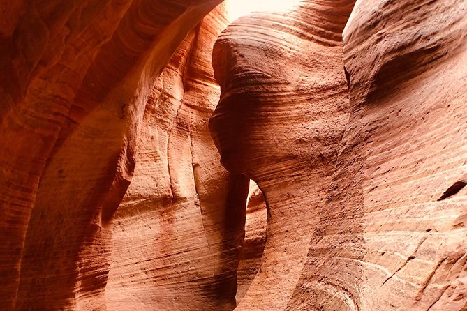 East Zion 2 Hour Slot Canyon Canyoneering UTV Tour - Customer Experiences and Feedback