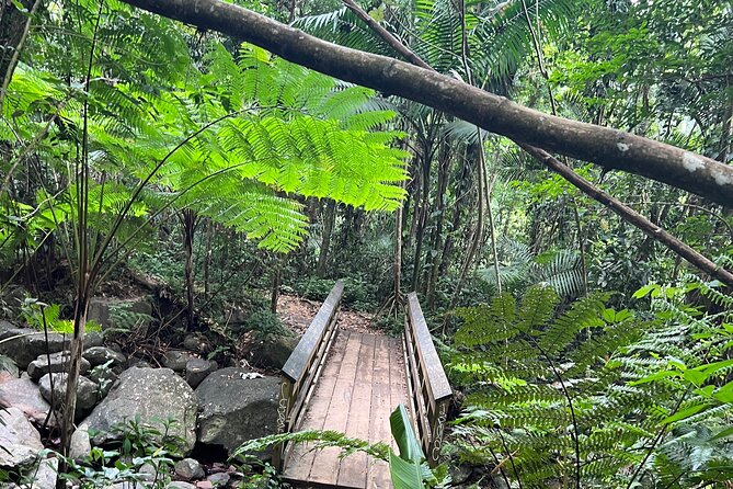 El Yunque National Forest Guided Tour With Transport - Pickup and Meeting Locations