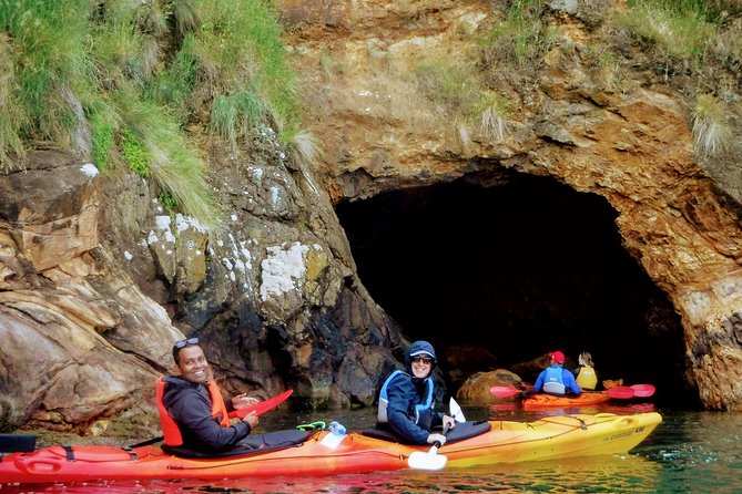 Electric Mountain Bike & Sea Kayak Tour in Akaroa - Health and Safety Guidelines