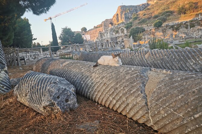 Ephesus Walking Tour - Customer Feedback