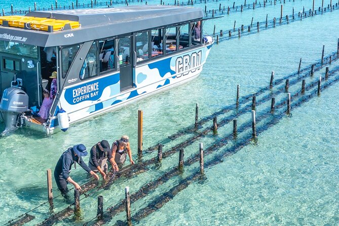 Experience Coffin Bay Oyster Farm and Bay Tour - Amenities Included in the Tour